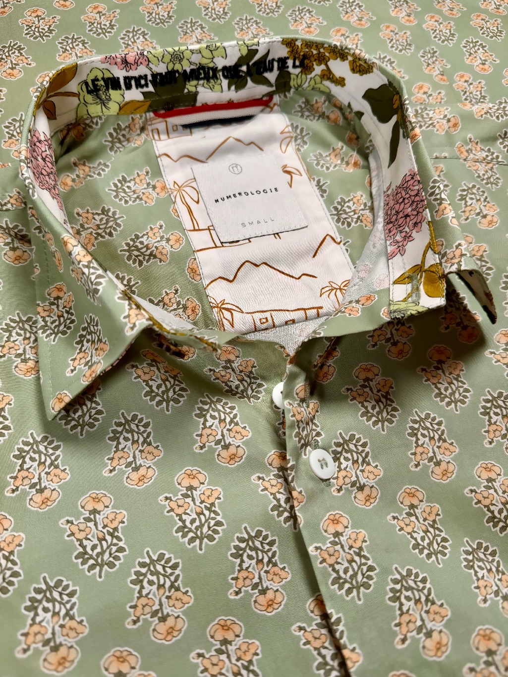 Chemise STANLEY à motif floral multicolor sur fond vert clair 1 Chemise STANLEY à motif floral multicolor sur fond vert clair